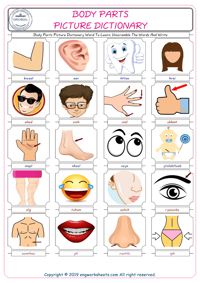  Body Parts ESL Worksheets For kids, the exercise worksheet of finding the words given complexly and supplying the correct one. 
